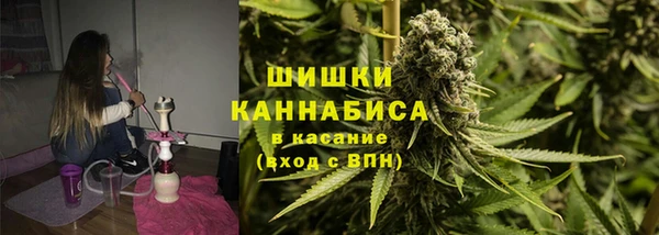 гашик Губаха