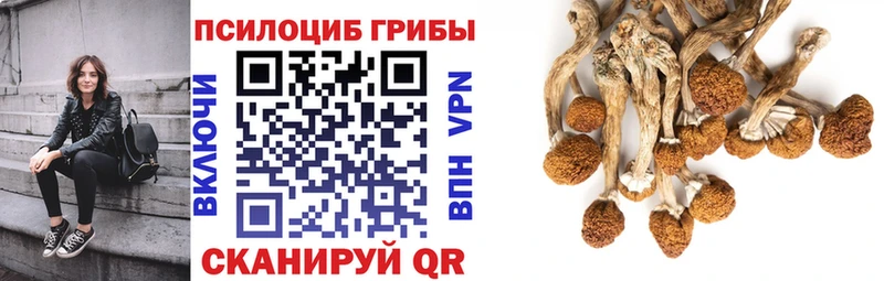 даркнет сайт  Иннополис  Галлюциногенные грибы прущие грибы 