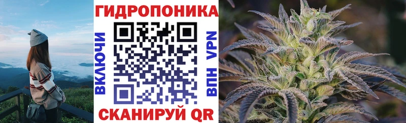 Шишки марихуана Bruce Banner  МЕГА ONION  Иннополис 